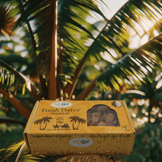 Dattes Deglet Nour – Régime 1 kg