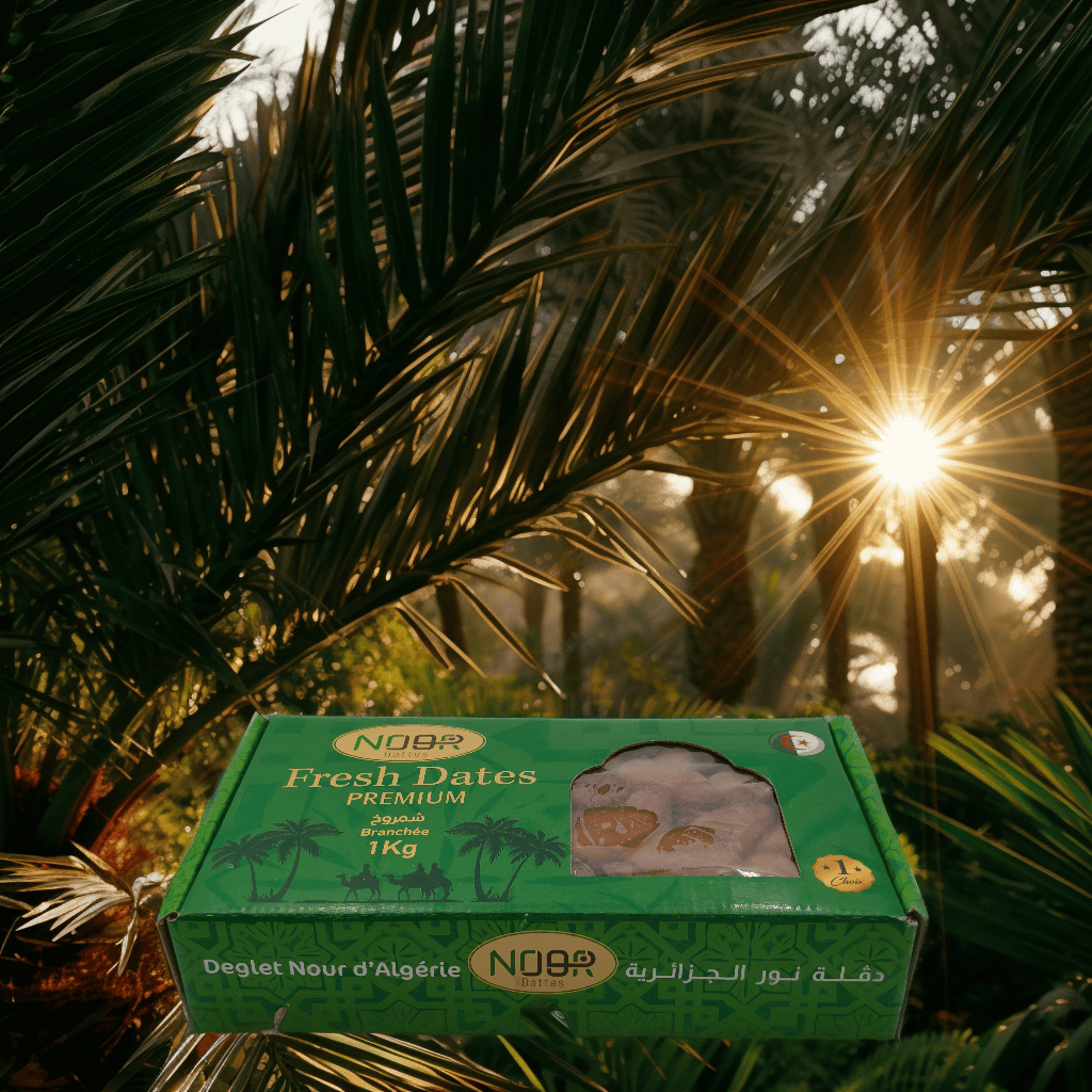 Dattes Deglet Nour – Branchée 1 kg