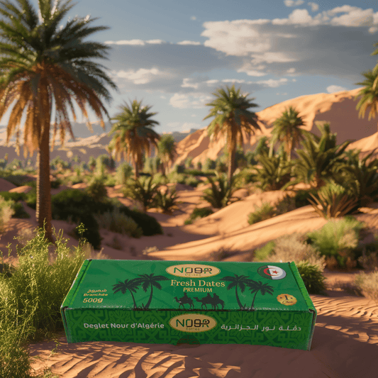 Dattes Deglet Nour – Branchée 500 g