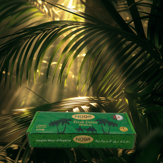 Dattes Deglet Nour – Branchée 500 g