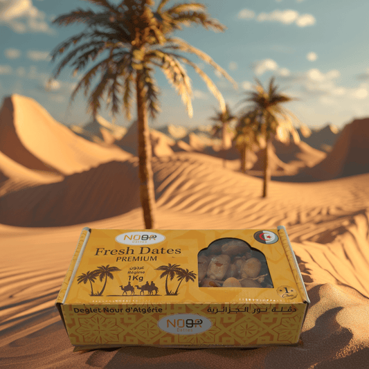 Dattes Deglet Nour – Régime 1 kg